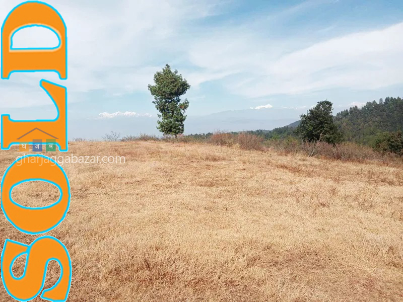Land for Hotel Resort on Sale at Lele